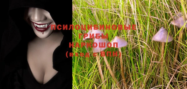 mix Осинники