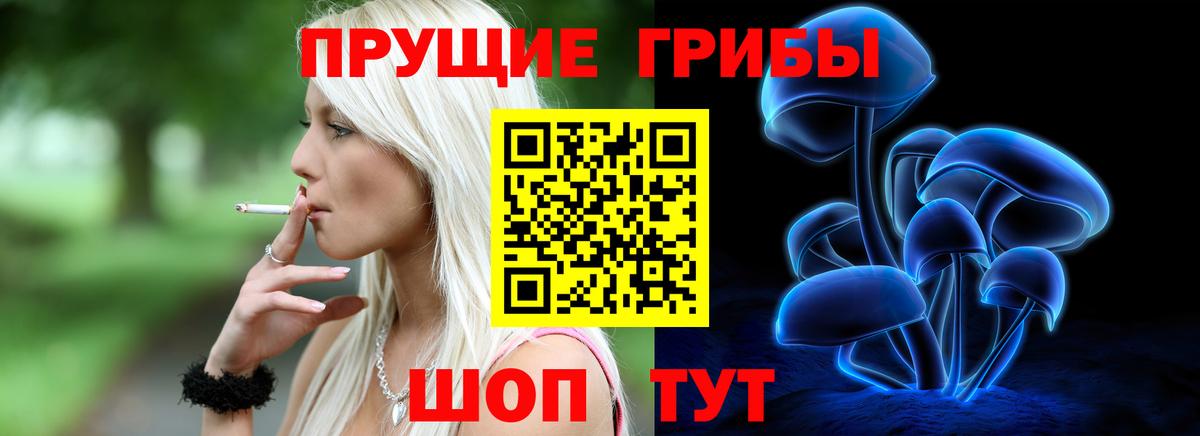 Моздок  купить  сайты  Вход с VPN  Галлюциногенные грибы мухоморы 