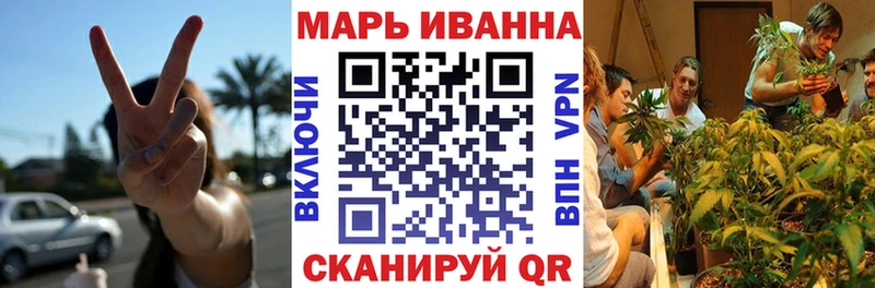 Конопля сатива  Моздок 